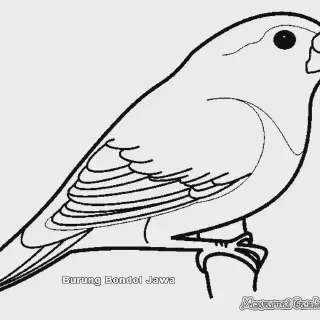 Tips dan Trik Mewarnai Gambar Burung Kenari untuk Pemula