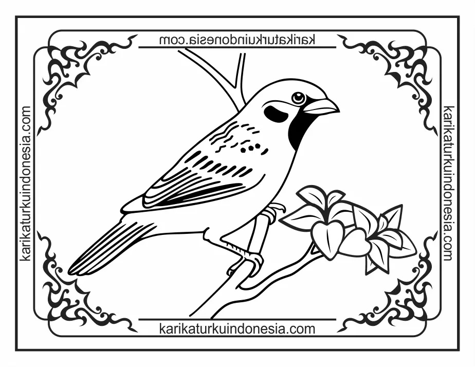 Mewarnai Gambar Burung Pipit: Panduan Lengkap Untuk Pemula