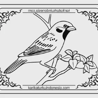 Mewarnai Gambar Burung Pipit: Panduan Lengkap Untuk Pemula