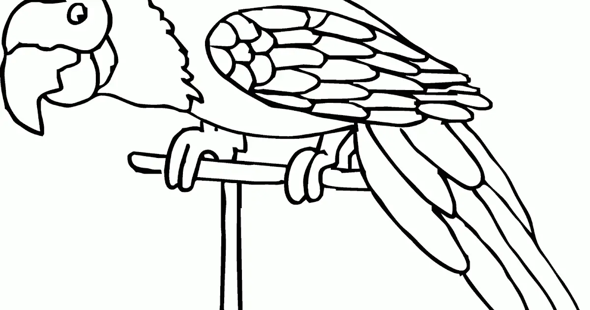 Cara Mewarnai Gambar Burung untuk PAUD dengan Ide Kreatif yang Mudah Dipraktikkan