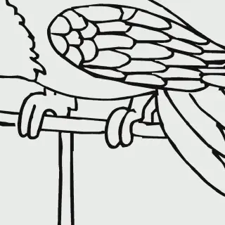 Cara Mewarnai Gambar Burung untuk PAUD dengan Ide Kreatif yang Mudah Dipraktikkan