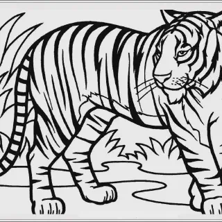 Mewarnai Gambar Hewan di Hutan: Tips dan Trik untuk Pemula