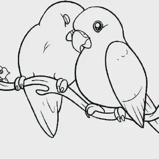 Cara Menarik dan Mudah Mewarnai Gambar Burung untuk Pemula